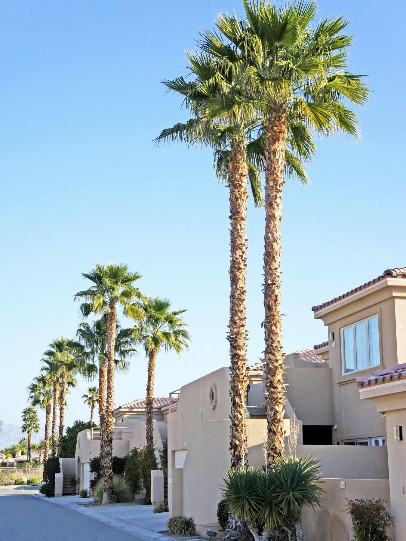 Raintree'S Cimarron Golf Resort Palm Springs Cathedral City Exterior photo